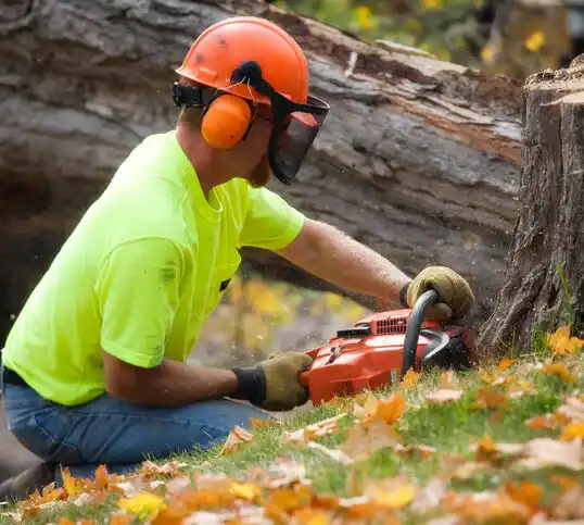 tree services Statesville